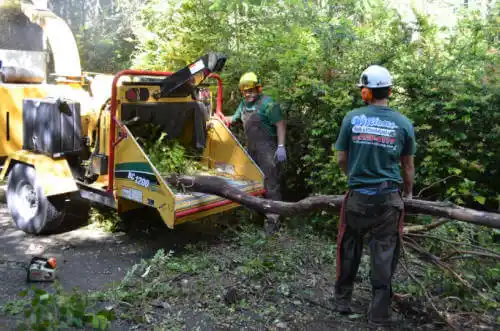 tree services La Junta